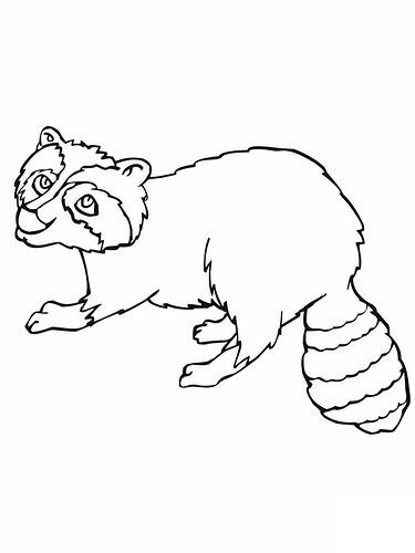 Raccoon-Coloring-Pages-Pictures-768x1024