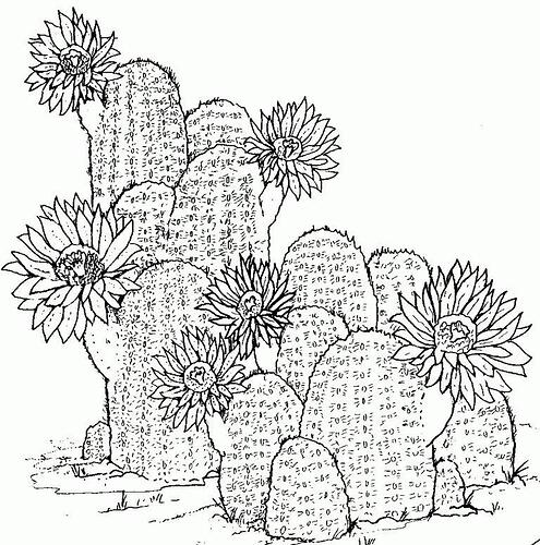 Cactus-Coloring-Pages-To-Print-768x775