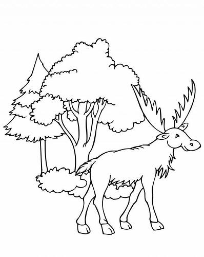 Coloring-Pages-of-Moose-768x963