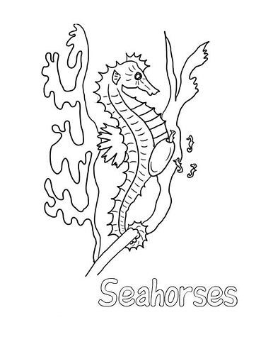 Seahorse-Coloring-Pages-For-Kids