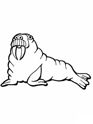 Free-Printable-Walrus-Coloring-Pages-768x1024