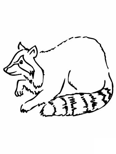 Raccoon-Coloring-Pages-Printable-768x1024