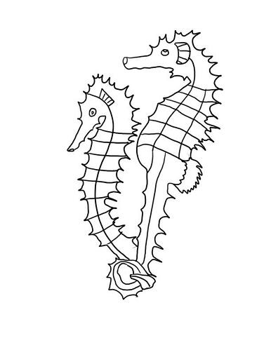 Seahorse-Coloring-Pages-Printable
