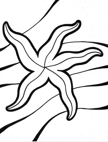 Starfish-Coloring-Pages-782x1024