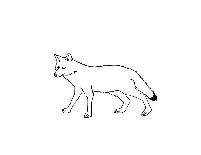 Coyote-Coloring-Pages-For-Kids