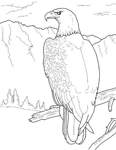 Eagle-Coloring-Pages-768x994