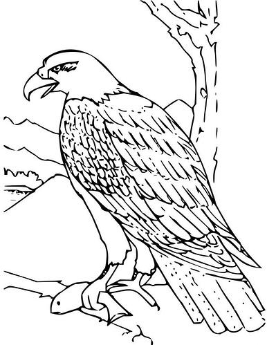Free-Printable-Eagle-Coloring-Pages-768x994