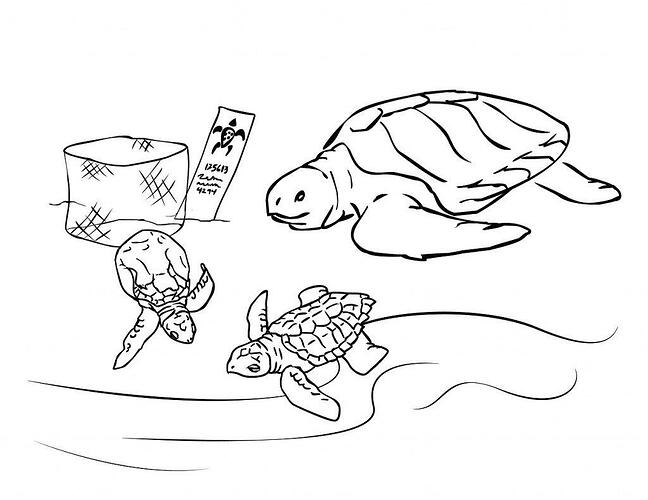 Printable-Sea-Turtle-Coloring-Pages-1024x790