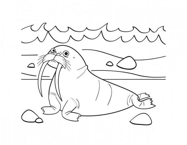 Free-Walrus-Coloring-Pages-768x594