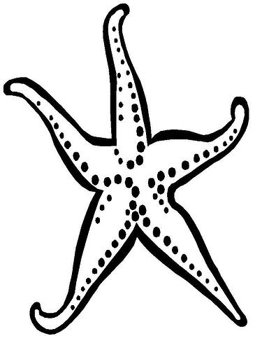Starfish-Coloring-Page