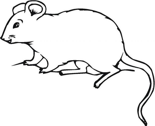 Mouse-Coloring-Pages-For-Kids-768x623