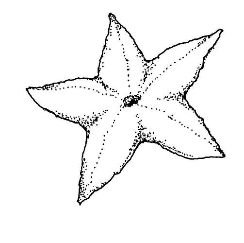 Printable-Starfish-Coloring-Pages