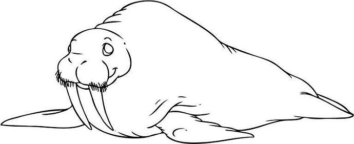 Coloring-Pages-of-Walrus-768x313