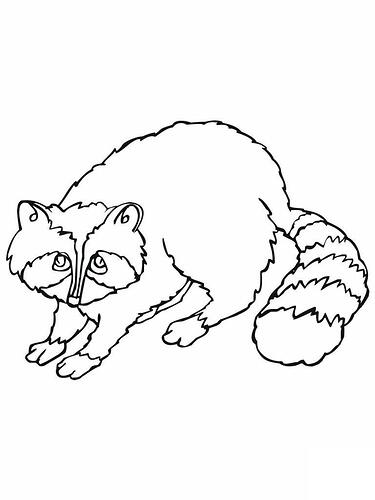 Raccoon-Coloring-Pages-To-Print-768x1024