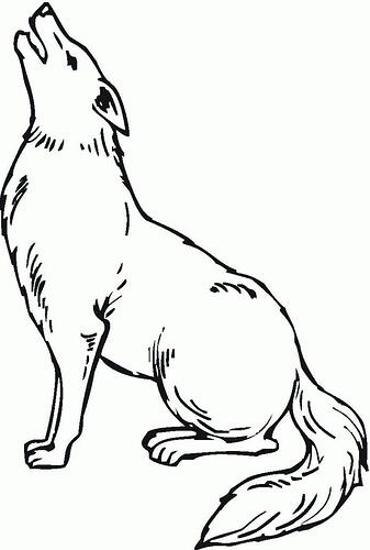 Coyote-Coloring-Pages-To-Print-692x1024