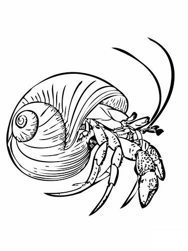 Hermit-Crab-Coloring-Page-768x1024