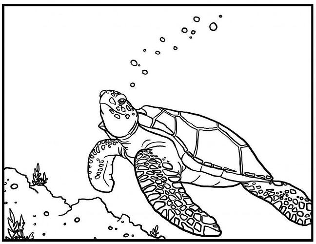 Sea-Turtle-Coloring-Pages-For-Kids-1024x790