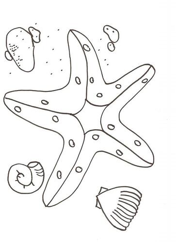 Free-Printable-Starfish-Coloring-Pages-744x1024