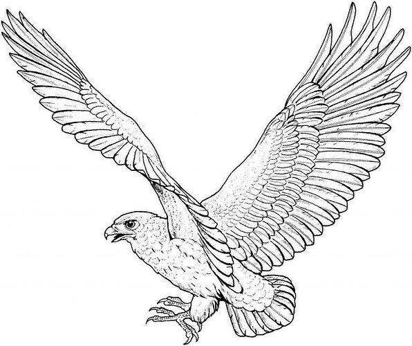Eagle-Coloring-Pages-For-Kids-768x644