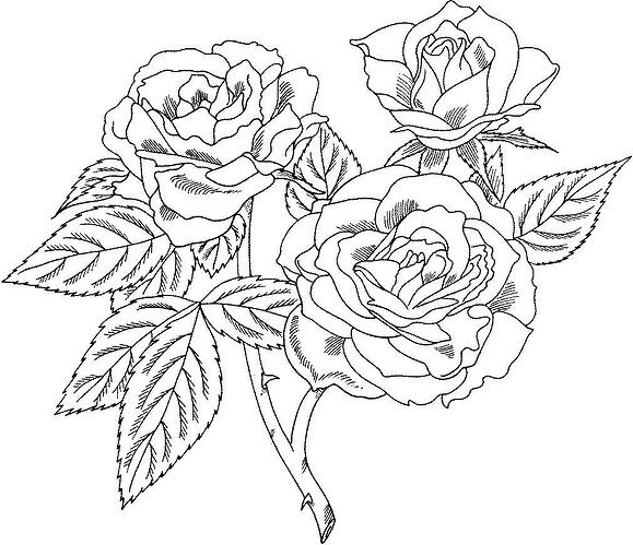 Roses-Coloring-Pages-Printable
