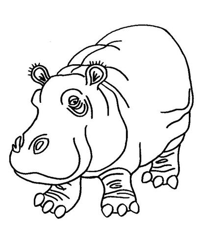 Coloring-Pages-of-Hippo