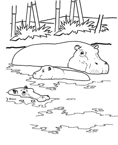 Hippo-Coloring-Pages-Printable