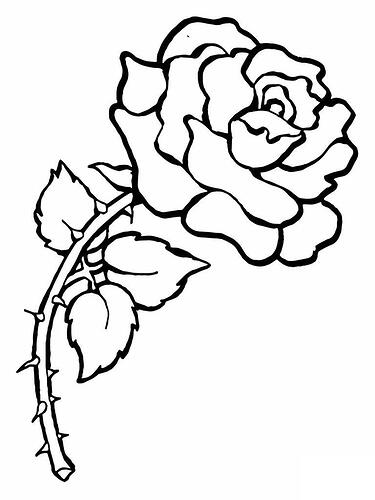 Rose-Coloring-Pages-To-Print-768x1024