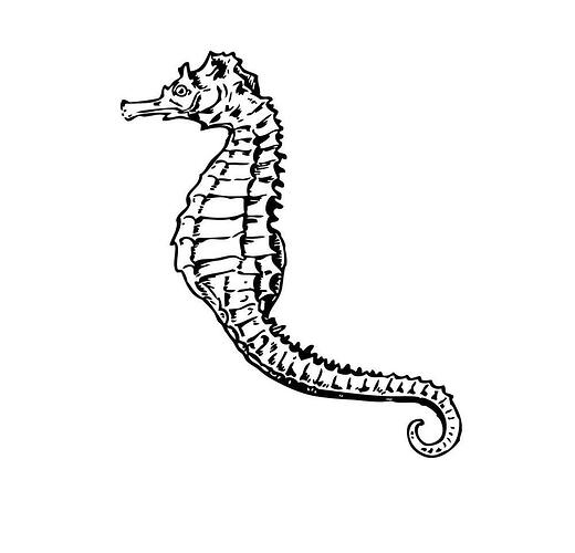 Printable-Seahorse-Coloring-Pages