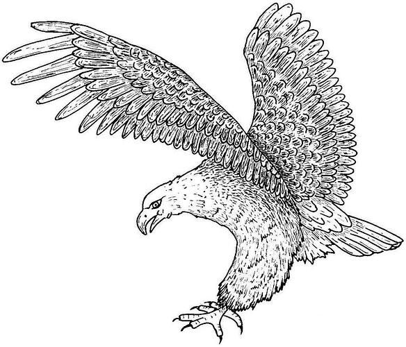 Eagle-Coloring-Pages-Printable-1024x876