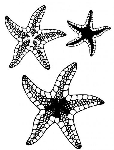 Coloring-Pages-of-Starfish-782x1024