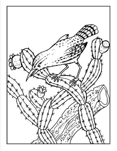Cactus-Coloring-Pages-Free-Printable-768x994