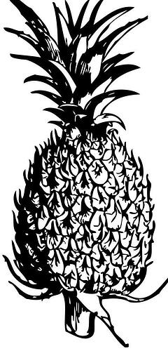 Coloring-Pages-of-Pineapple-492x1024