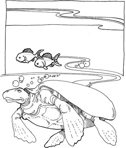 Coloring-Pages-of-Sea-Turtles-768x905