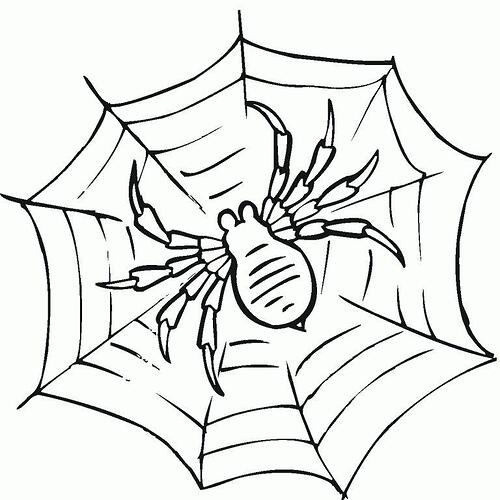 Printable-Spider-Web-Coloring-Pages-768x768