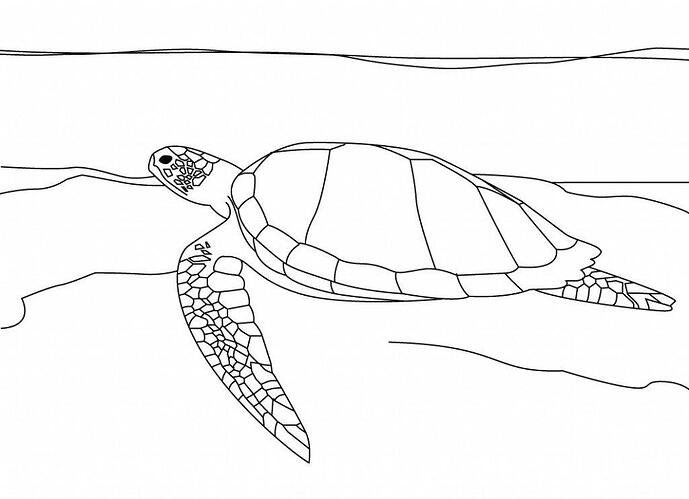 Sea-Turtle-Coloring-Pages-To-Print-1024x743
