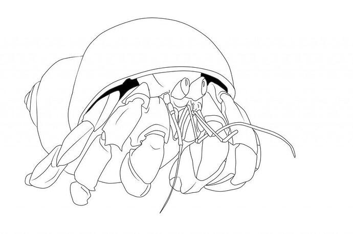 Hermit-Crab-Coloring-Pages-Printable-1024x682