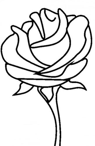 Rose-Color-Pages
