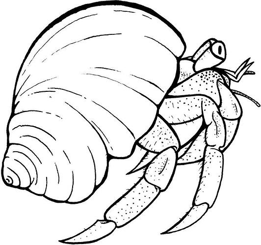 Hermit-Crab-Coloring-Pages