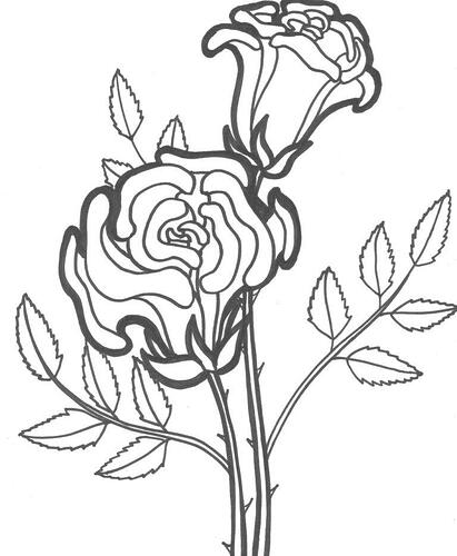 Coloring-Pages-of-Rose-768x934