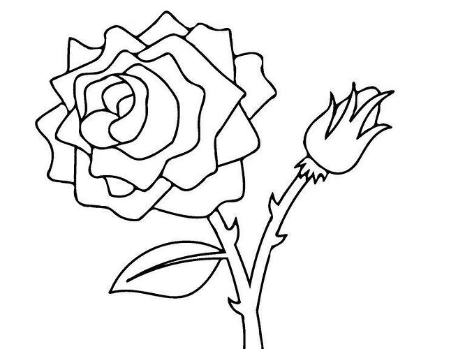 Rose-Flower-Coloring-Pages-768x576