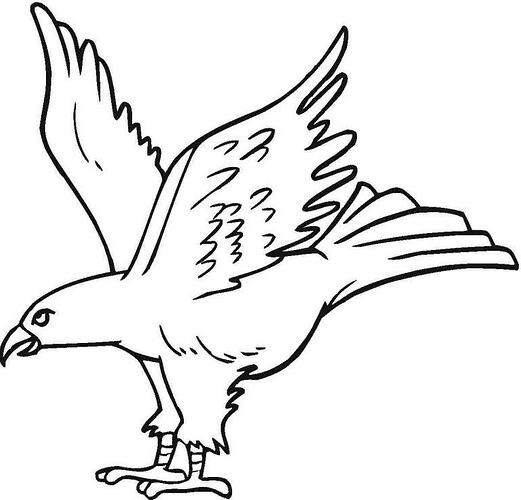 Eagles-Coloring-Pages-768x736