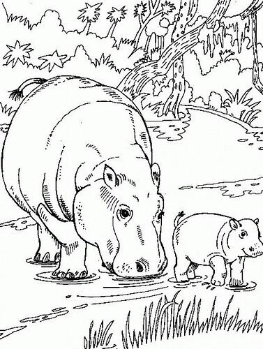 Hippo-Coloring-Pages-Images-773x1024