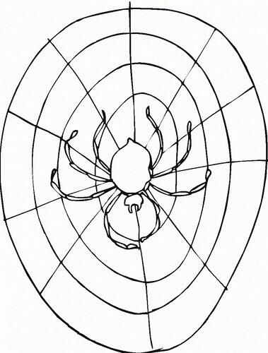 Spider-Web-Coloring-Pages-Free-Printable-778x1024