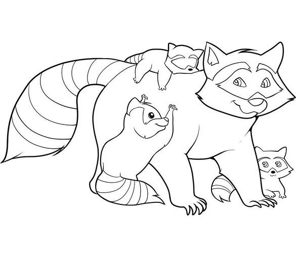 Raccoon-Coloring-Pages-For-Kids-1024x874