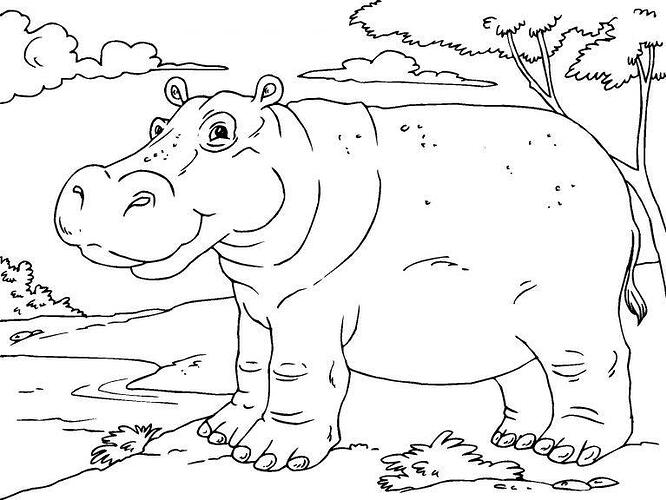 Hippo-Coloring-Pages-Pictures-768x576