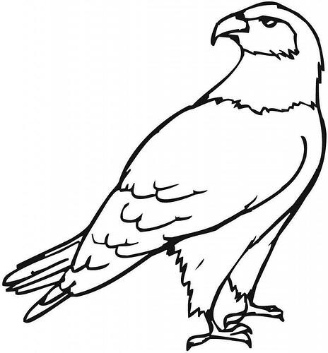 Eagle-Coloring-Page-952x1024