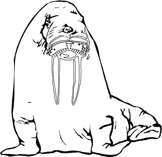 Walrus-Coloring-Pages-For-kids