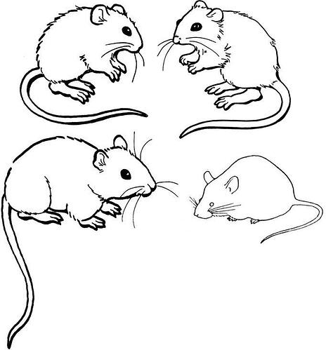Printable-Mouse-Coloring-Pages