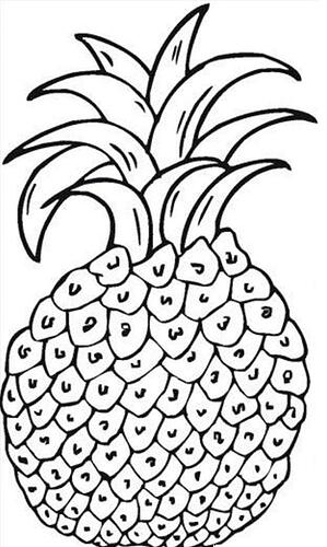 Pineapple-Coloring-Page-613x1024