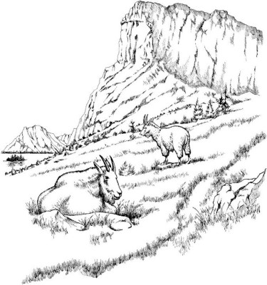 mountain-and-sheep-landscape-coloring-pages-13 (coloring)